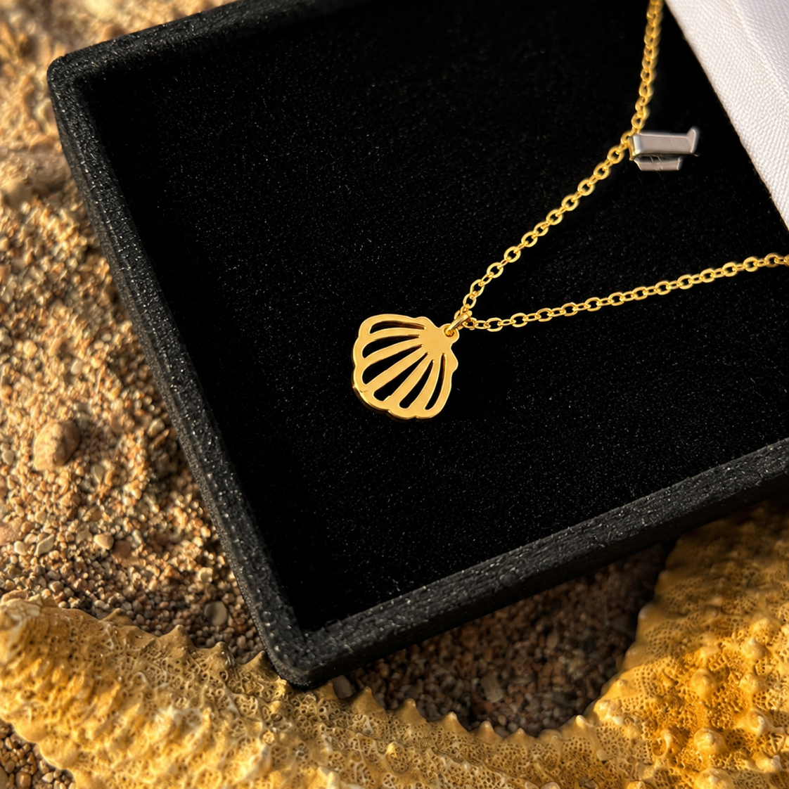 Seashell Glow Necklace